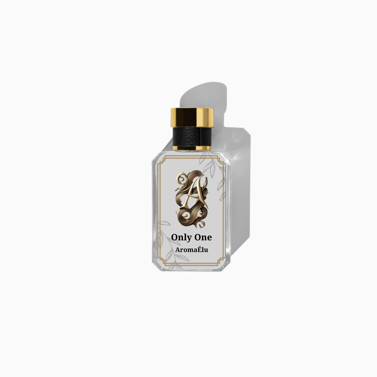 Only One inspired by The One, Dolce and Gabbana