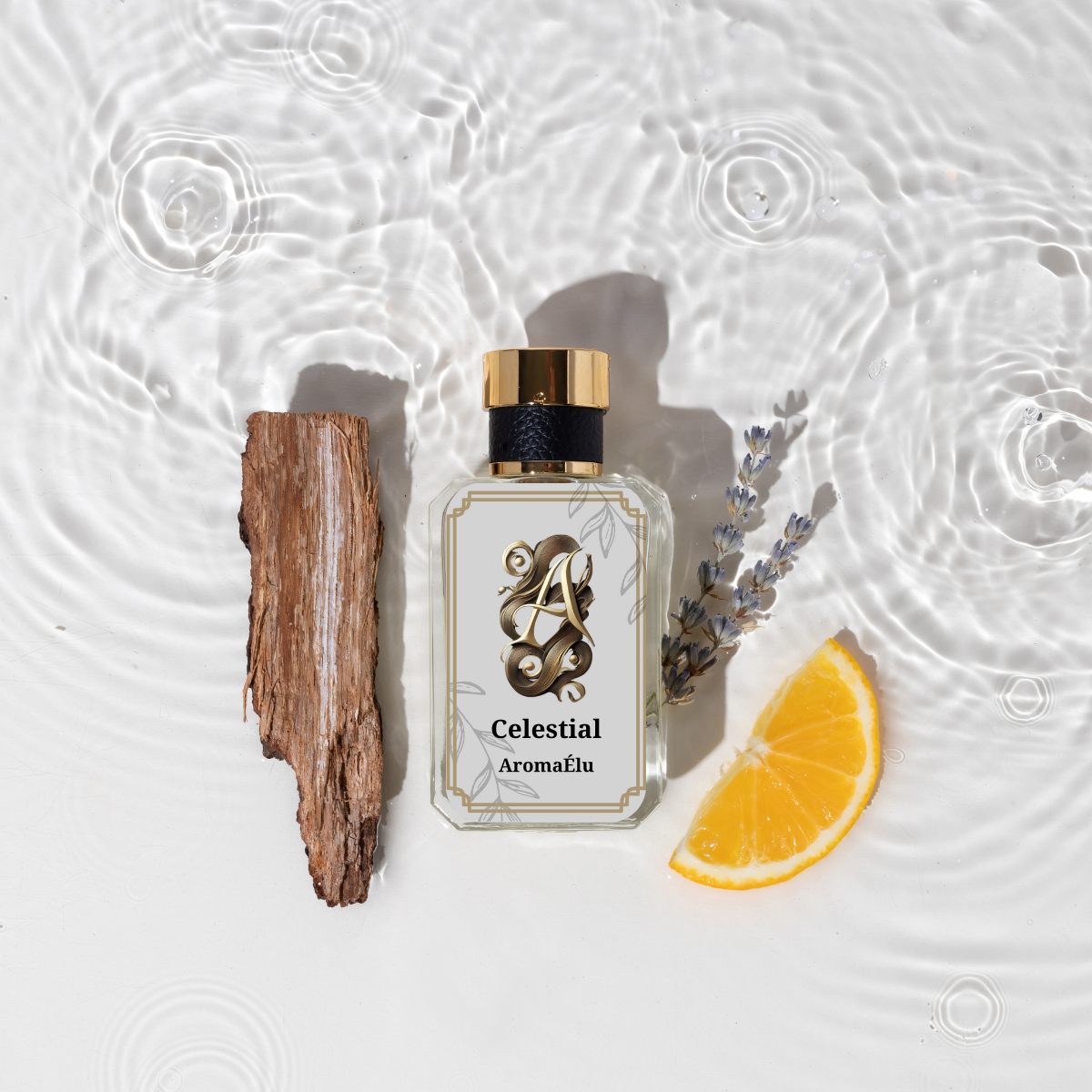 Celestial inspired by Spicebomb, Viktor and Rolf